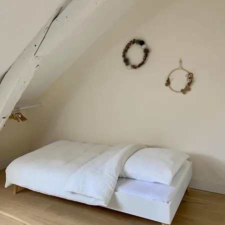 Hyper Centre Grand Plein De Charme Angers