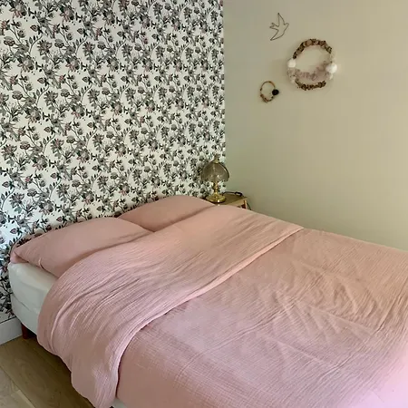 Hyper Centre Grand Plein De Charme 公寓 *