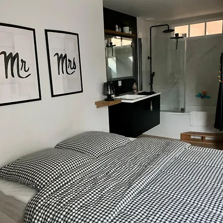 Hyper Centre Grand Plein De Charme 公寓