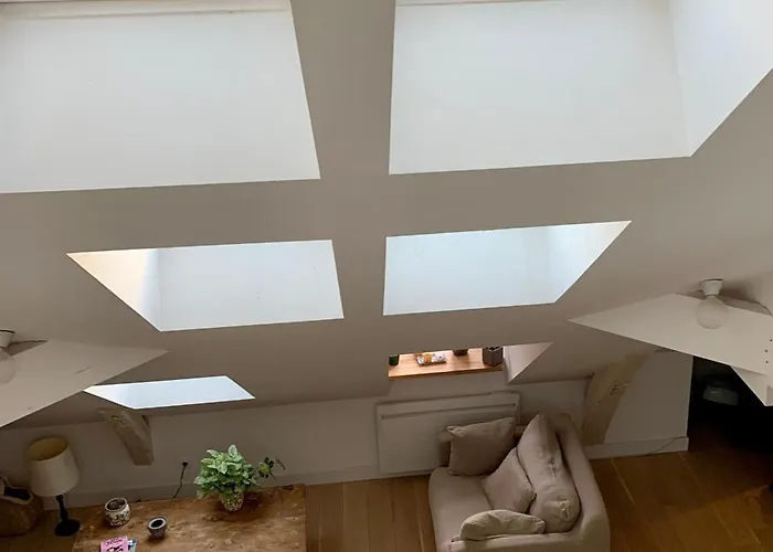 Hyper Centre Grand Plein De Charme 公寓 昂热