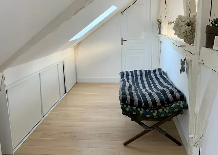 Hyper Centre Grand Plein De Charme 公寓